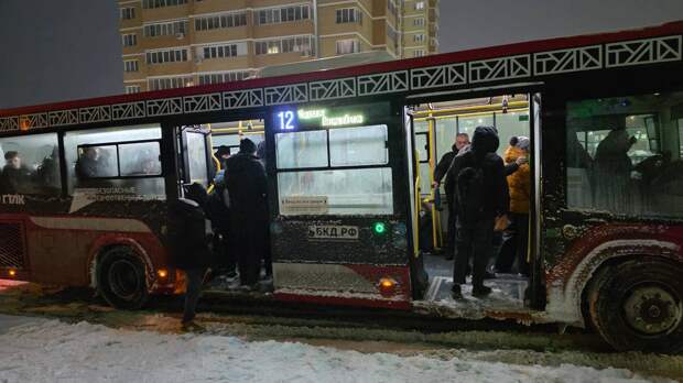 В Туле не нашли нарушений в работе общественного транспорта утром 29 января