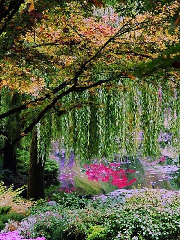Место чарующее своей красотой и живой природой - The Butchart Gardens. 