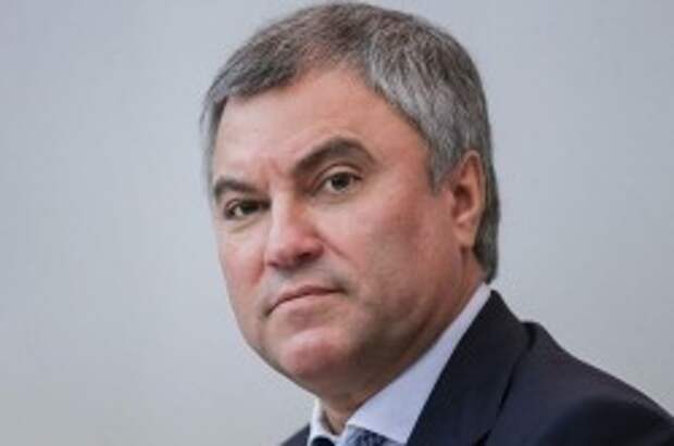 Володин отдал половину своих доходов на благотворительность Володин отдал половину своих доходов на благотворительность