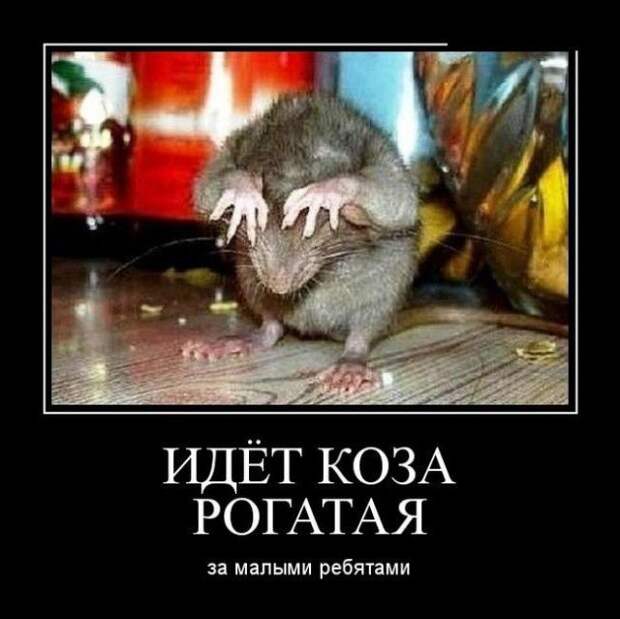 Демотиваторы (30 фото)