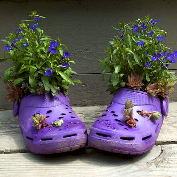 shoes-container-garden