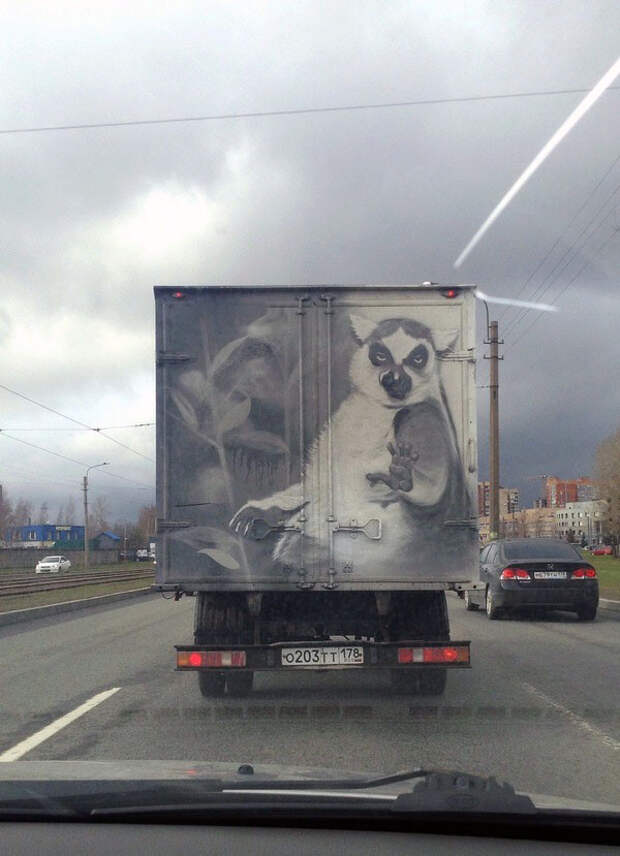 2.  авто, автоприколы, приколы