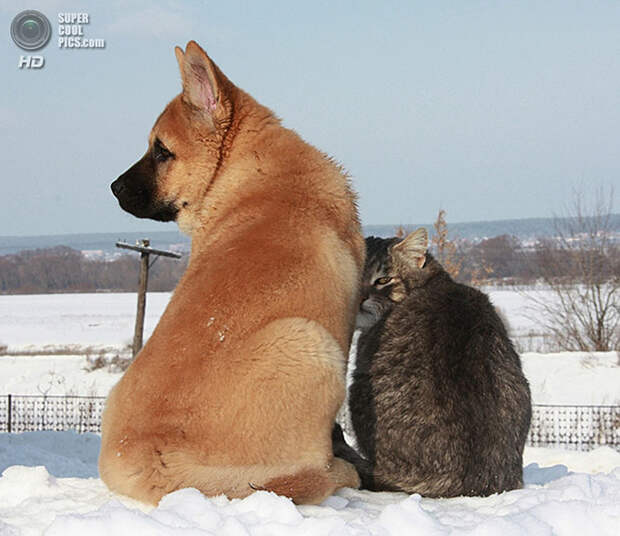 Лучшие фотографии 2013-го года по версии Яндекс.Фотки