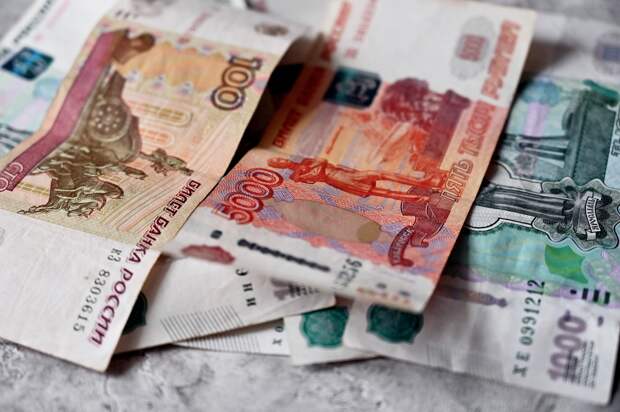 Продажи популярных брендов одежды на Авито в Рязани выросли на 93%