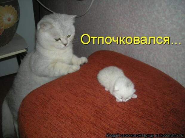 Мысли вслух :)