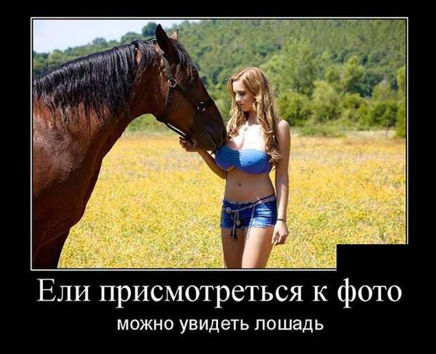 Демотиваторы (30 фото)