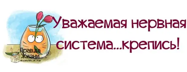 Прикольные фразочки в картинках