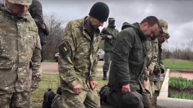 Более 73 боевиков Вооруженных сил Украины сдались в плен российским военнослужащим в боях за село Берестовое Харьковской области.