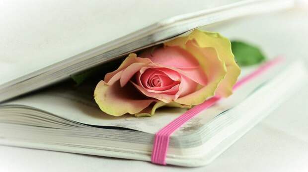 Стихи. Фото: pixabay.com Стихи. Фото: pixabay.com