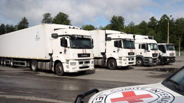 «Выводы делайте сами»: сколько тел боевиков ВСУ Россия передала Украине в 2025 году