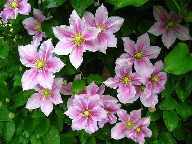 0d7b93715cbf (640x480, 85 Kb)