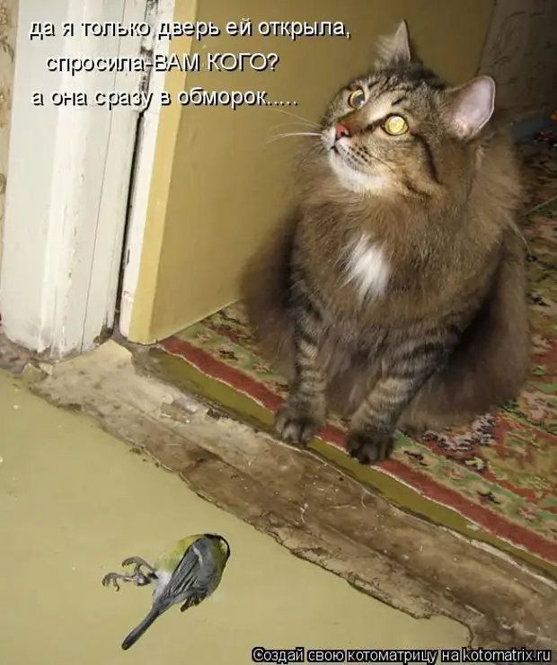 Гадом буду картинки. Гадом буду не забуду. Гадом буду не забуду. Гадом буду не забуду. Гадом буду не забуду.