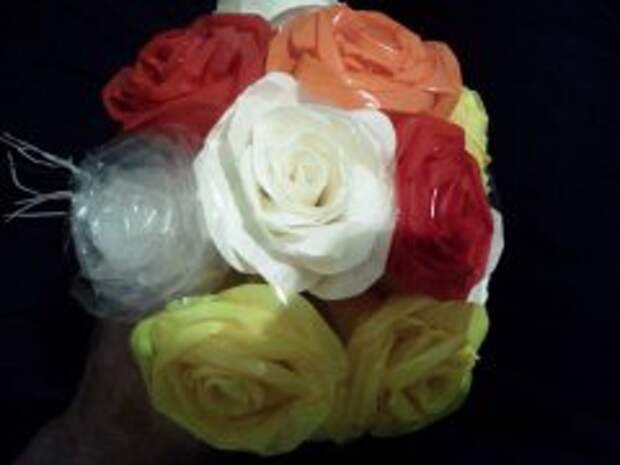 rosa_iz_scotcha_11 rosa_iz_scotcha_11