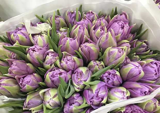 Командование 49-й общевойсковой армии ЮВО поздравило женщин с Международным женским днем