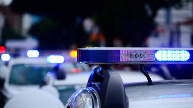 Обезглавленное тело женщины нашли на кухне в одной из подмосковных квартир