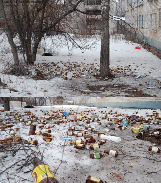 Весна и первые подснежники они такие разные
