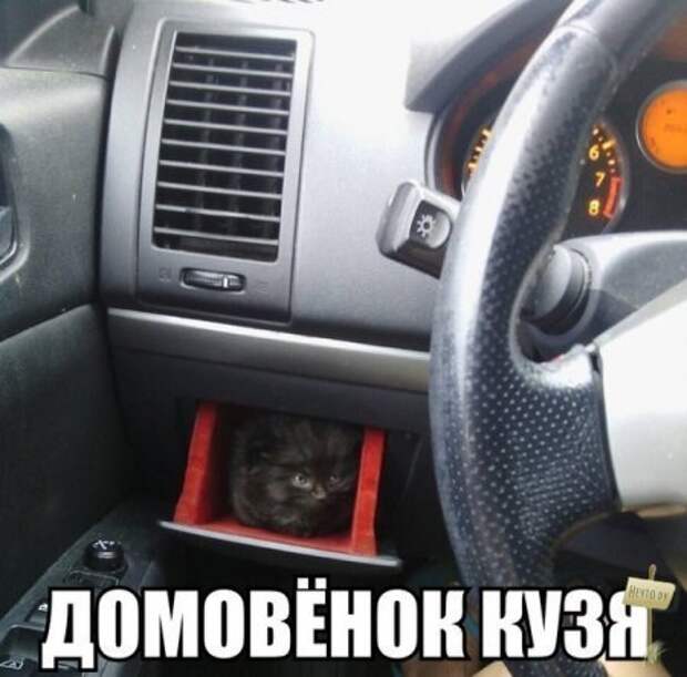 Самые-самые фотки и картинки