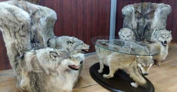 «Волчья» мебель из Дагестана вызвала в сети оживленные дебаты