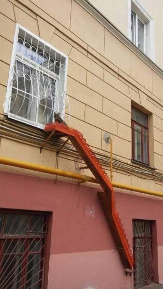 Утренние картинки и фото приколы для поднятия настроения (11 фото) Утренние картинки и фото приколы для поднятия настроения (11 фото)