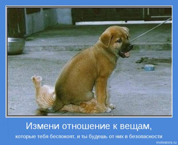 Мотиваторы с интересным смыслом.