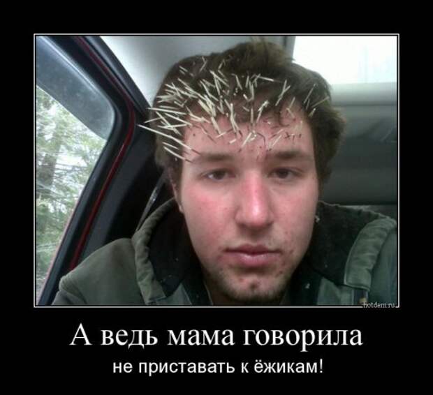 Новые демотиваторы на Бугаге (17 шт)