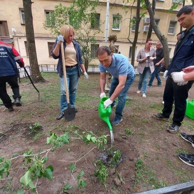 В Адмиралтейском районе активисты высадили кусты сирени