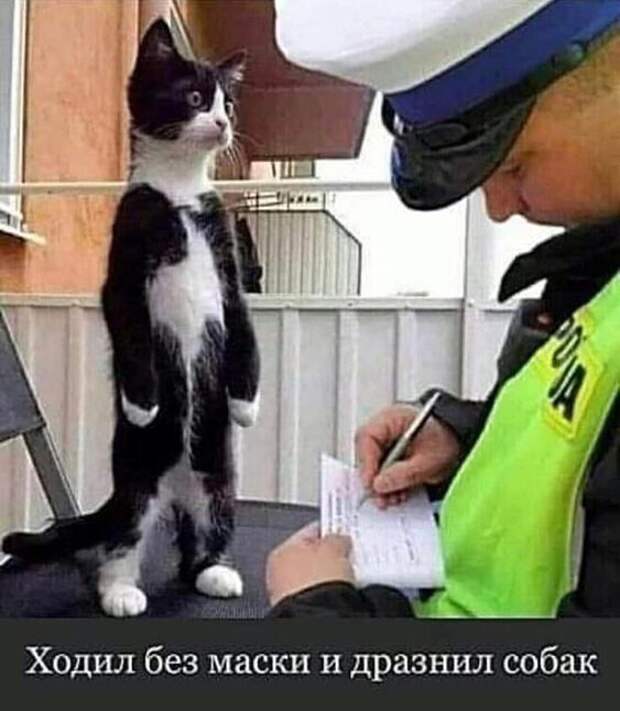 Ходил без маски Ходил без маски