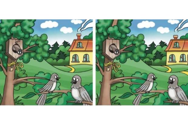 Идиллия или ловушка? Найдите 10 отличий в саду за 34 секунды