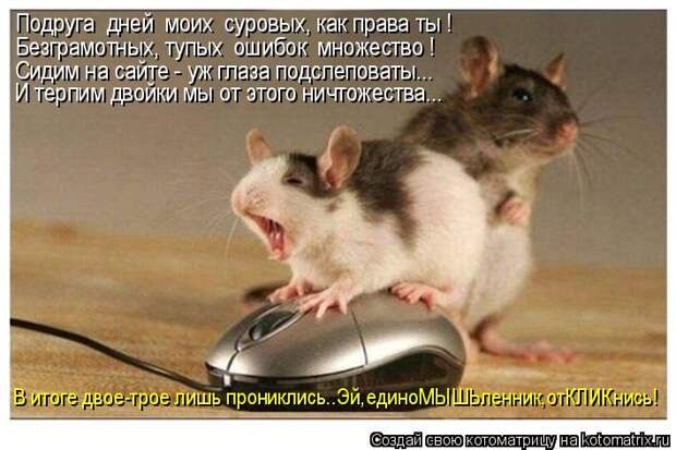 Подруга  дней  моих  суровых, как права ты ! Безграмотных, тупых ошибок  множество ! Сидим на сайте - уж глаза подслеповаты... И терпим двойки мы от этого ничтожества...     В итоге двое-трое лишь прониклись..Эй,единоМЫШЬленник,отКЛИКнись!