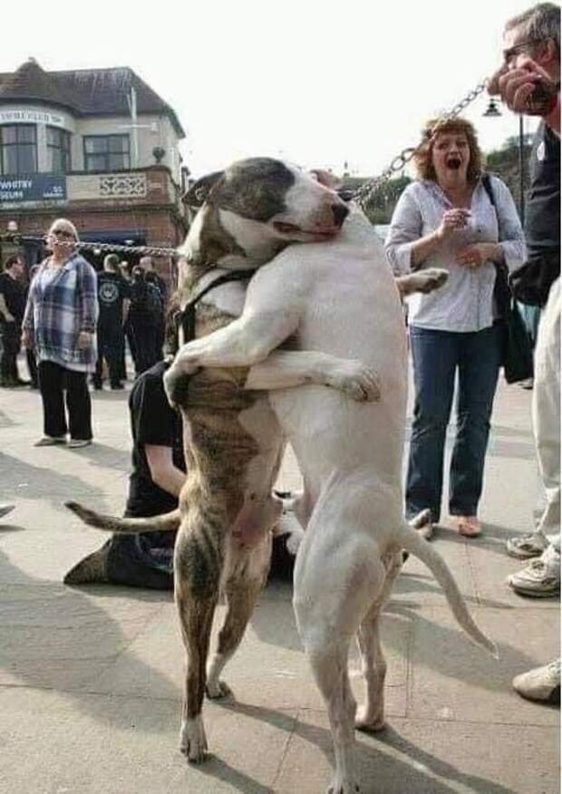 Давно не виделись.. Давно не виделись..