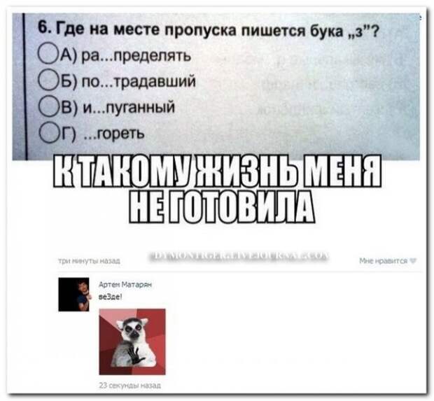 Картинки и мемы для настроения