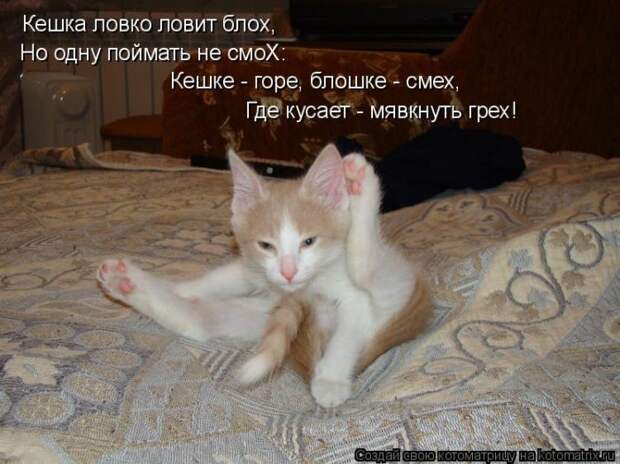 Мысли вслух :)