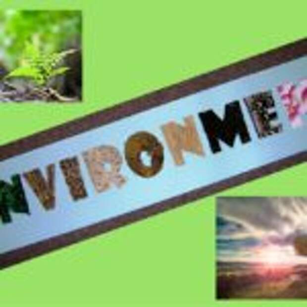 conscious consumer