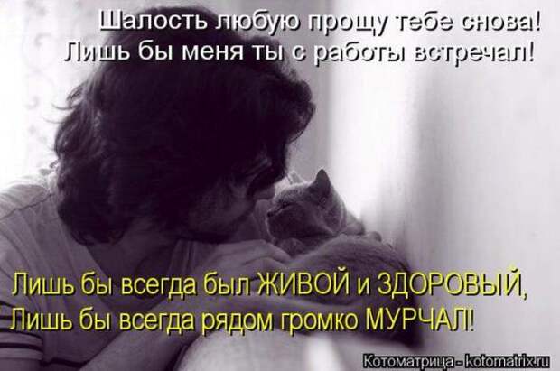 Котоматрицы(картинки с подписями)