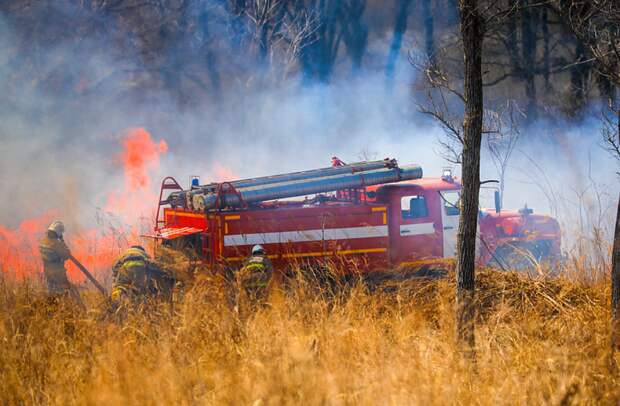 Четыре агропредприятия Приморья привлечены к ответственности за нарушение правил пожарной безопасности