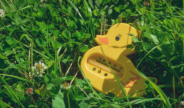 Жара вернется в Нижний Новгород