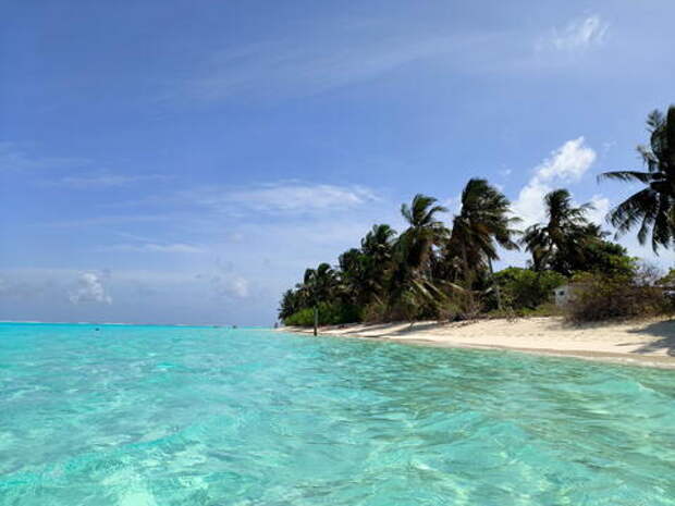 «Что значит исправить судьбу»: психолог из российского региона притворялась тибетским монахом и юристом, чтобы выманить деньги