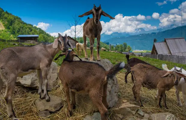 110 километров пеших троп будет доступно в новом летнем сезоне на «Роза Хутор»