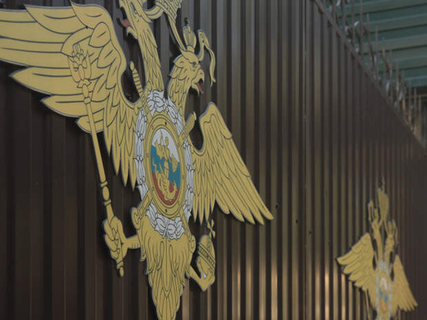 Родные заподозренного в педофилии актера из «Папиных дочек» заявили о его невиновности