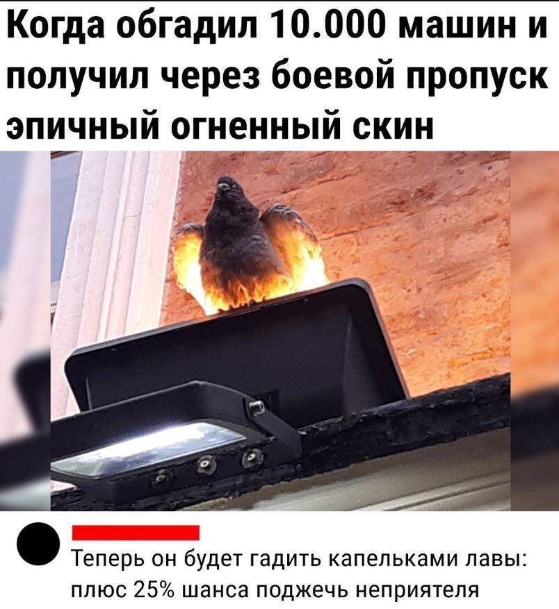 смешные картинки с надписями (12)