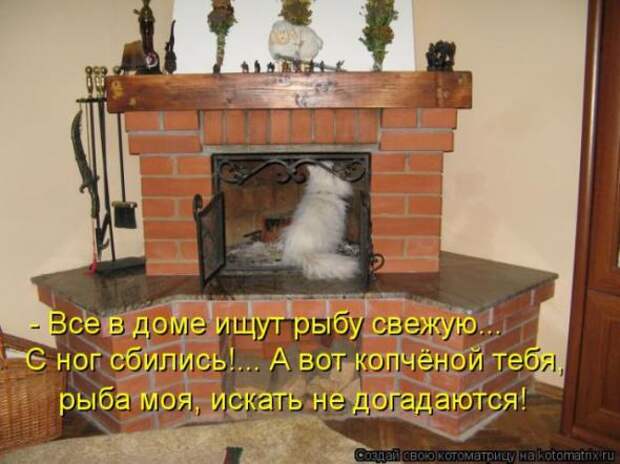 Котоматрицы(картинки с надписями)