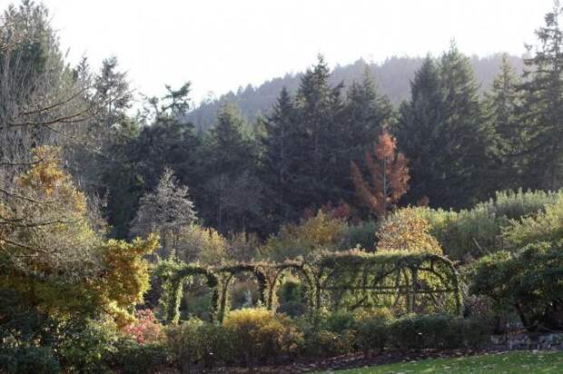 Место чарующее своей красотой и живой природой - The Butchart Gardens. 