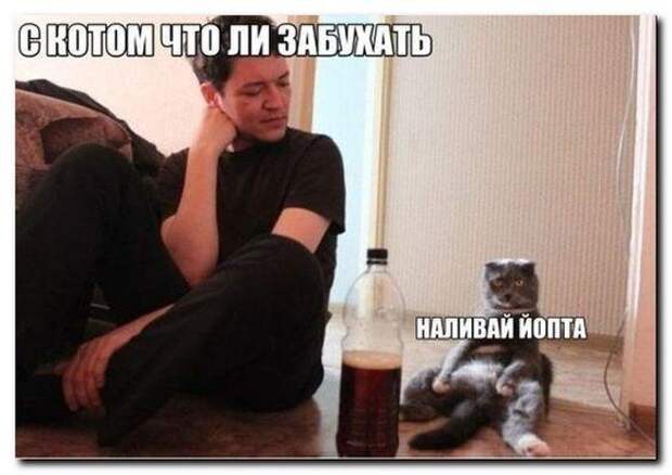 Свежие клевые картинки