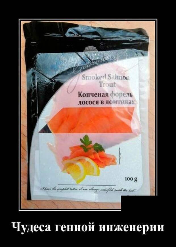 demotivatory-demotivator-smeshnye-demotivatory-demotivator-so-smyslom