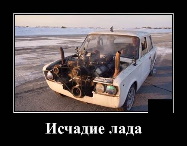 Демотиваторы (20 фото)