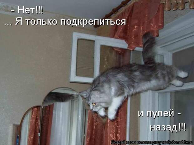Забавные котоматрицы