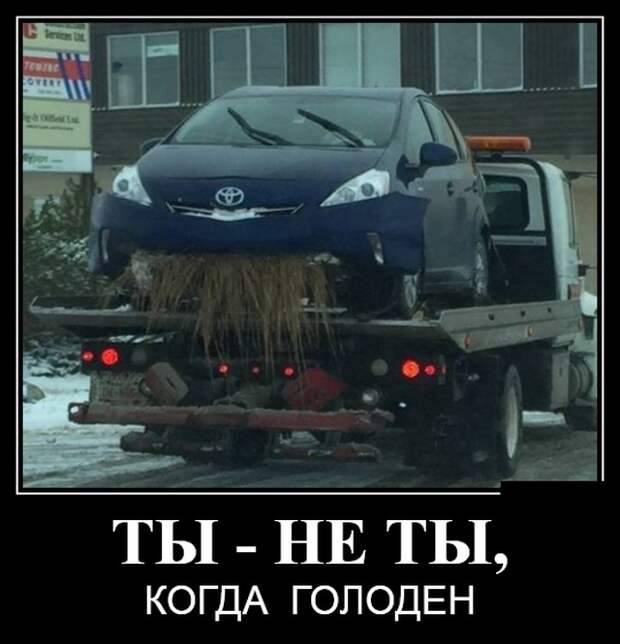 Демотиваторы (30 фото)