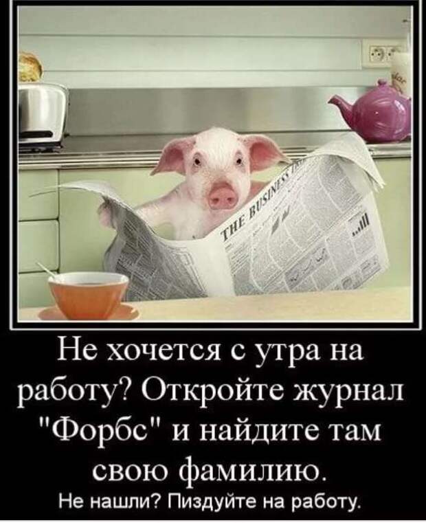 Смешные комментарии. Подборка chert-poberi-kom-chert-poberi-kom-13330907112020-12 картинка chert-poberi-kom-13330907112020-12