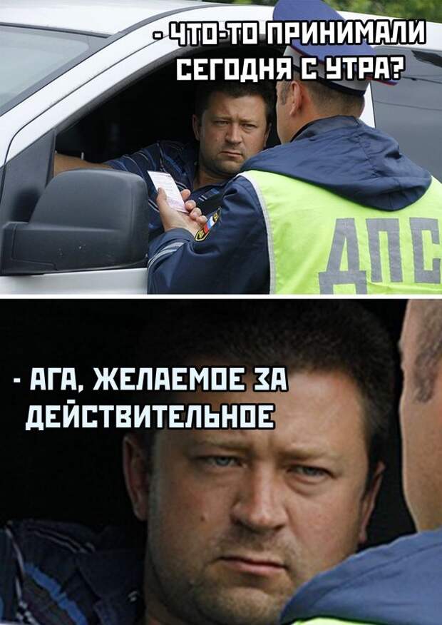 kartinok-prikolnyh-podborka-kartinki-smeshnye-kartinki-fotoprikoly