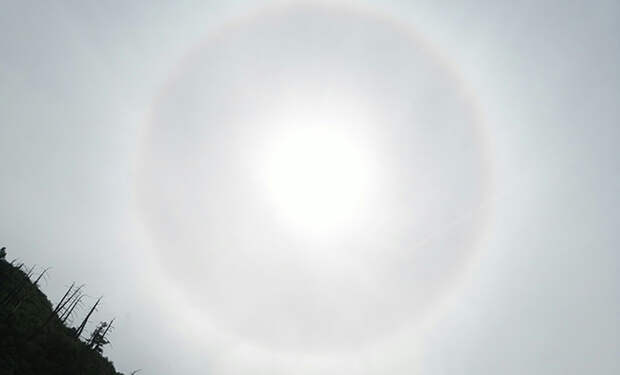 Источник фото: Unsplash